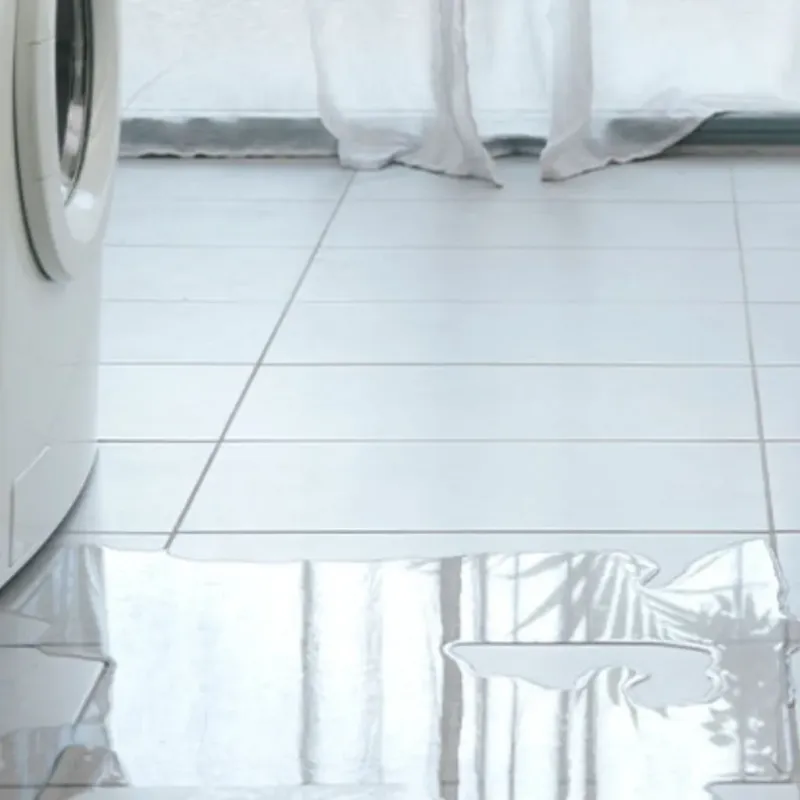 Appliance Leak Cleanup in Kitsap County, WA