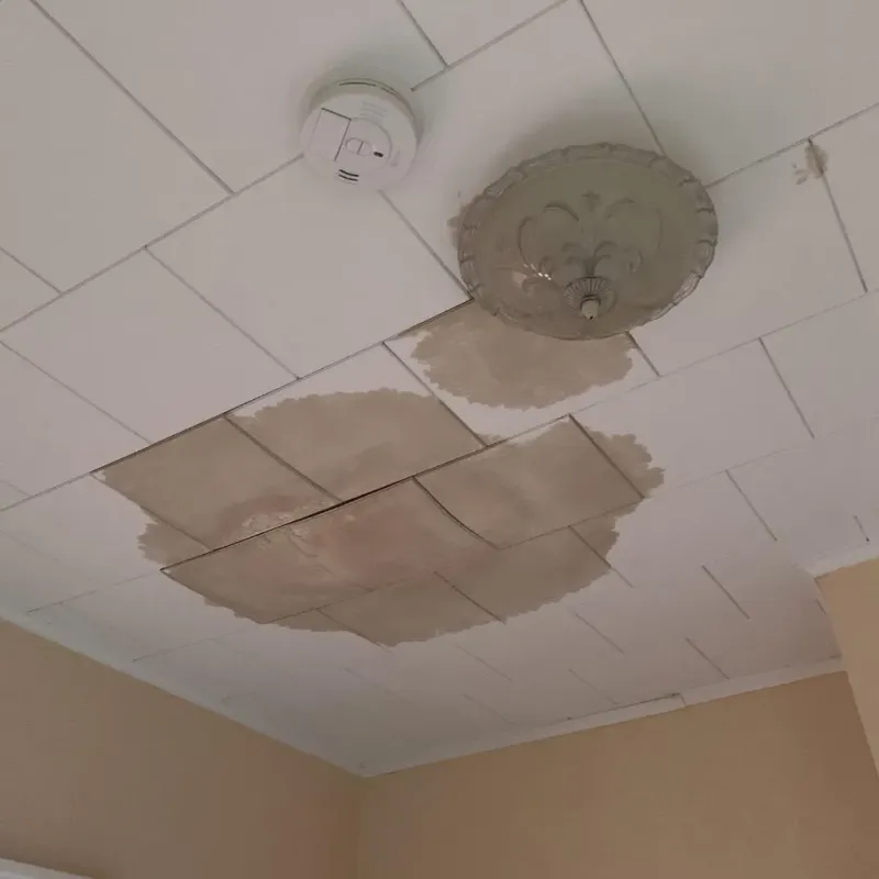 Ceiling Water Damage Repair in Kitsap County, WA