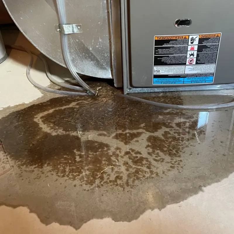 Pipe Burst and Leak Restoration in Kitsap County, WA