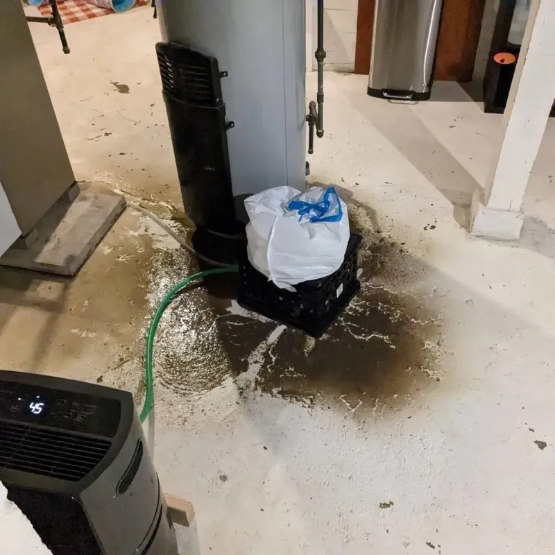 Sewage Backup Cleanup Service in Kitsap County, WA